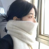 推窗风来_