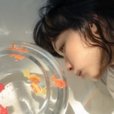 残云追月