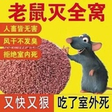 岁岁安