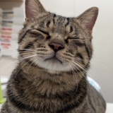 温柔的夜