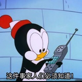 菠萝蛋白酶