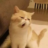 星辰大海