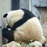 和数学分手