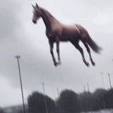 我看看看