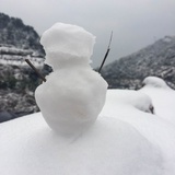 灼廉