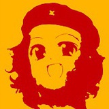 洛俪塔