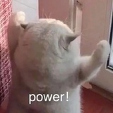 加油鹿小葵