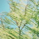 上官