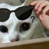 发疯班