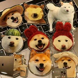 🌈🏹今日甚好