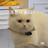 枭不鸣