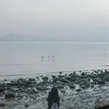 糖