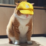 还行吧