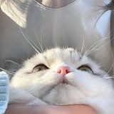 渐近线