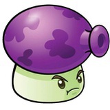 🟣🟣🟣🟣🟣🟣