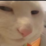 有大病玩意