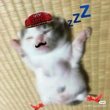 你咋爱小攻大受