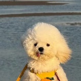 今天喝什么