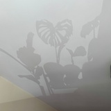 萧亚轩