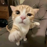 。。