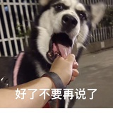 豆友3855769678
