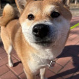 akaka