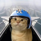 耄耋