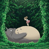 言颜