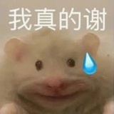 随便玩玩