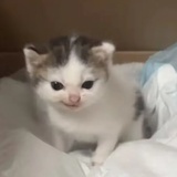 活着