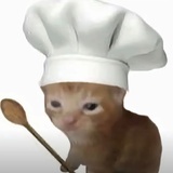 高山流水觅只咪