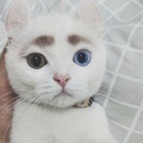 味精