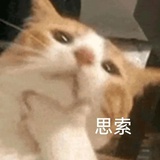 你是猪