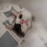 云淡风轻