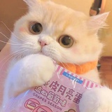 哦哦哦