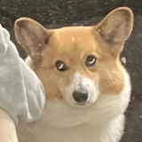 你该吃药了