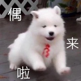 小哥哥跑真快