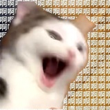 momomomo