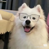 组务找管理