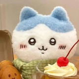 小鱼薄荷