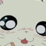 cccc