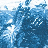R.