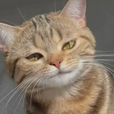 不朽
