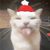 豆友Yy_4w8mc3w