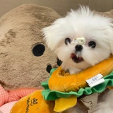 板烧鸡腿堡