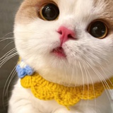 嘴巴开过光