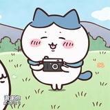 豆豆