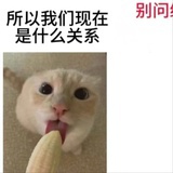 大象大象