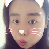 kitty小猫