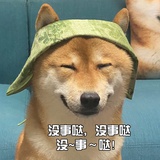 不知道起什么名